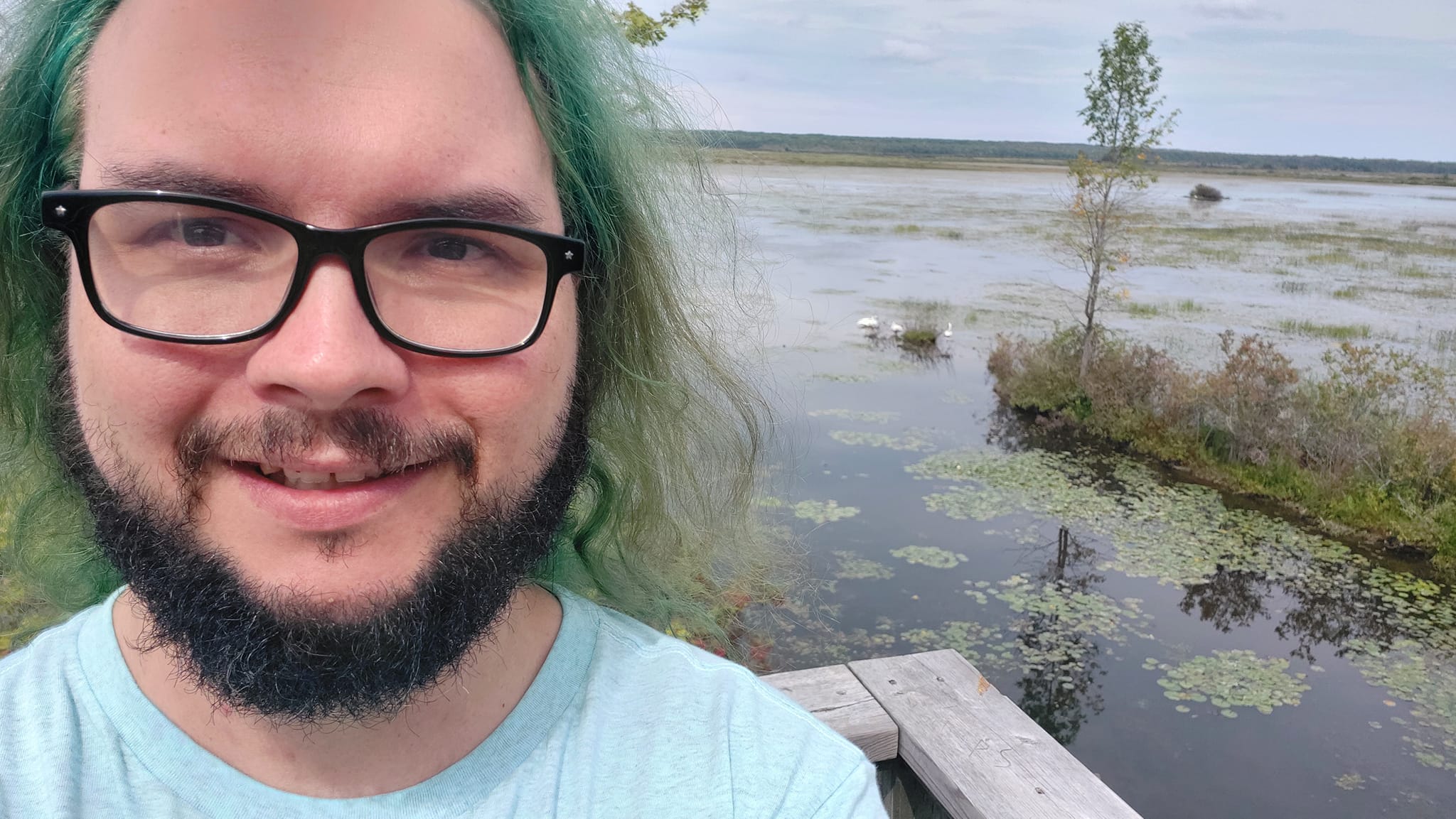 A man with green hair stands in front of some swimming swans, Photo 3